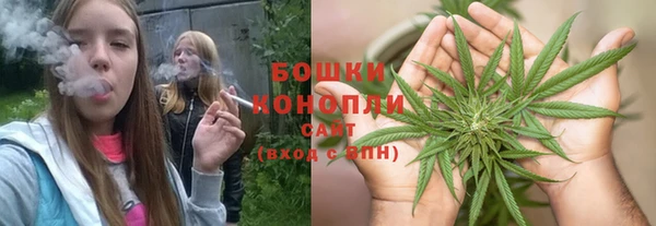 мет Дмитриев