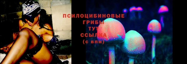 мет Дмитриев