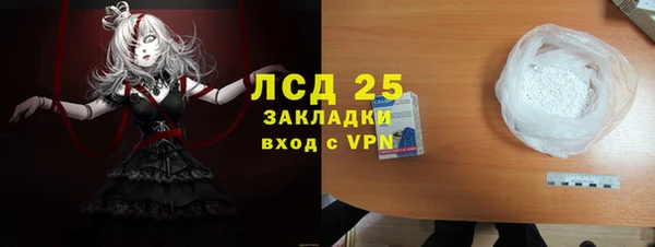 спайс Гусев