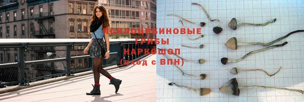 мет Дмитриев