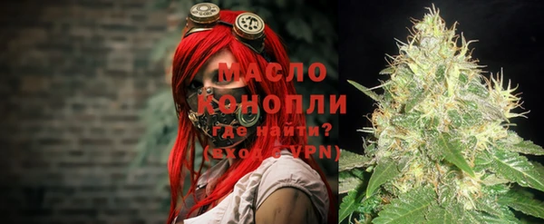 мет Дмитриев